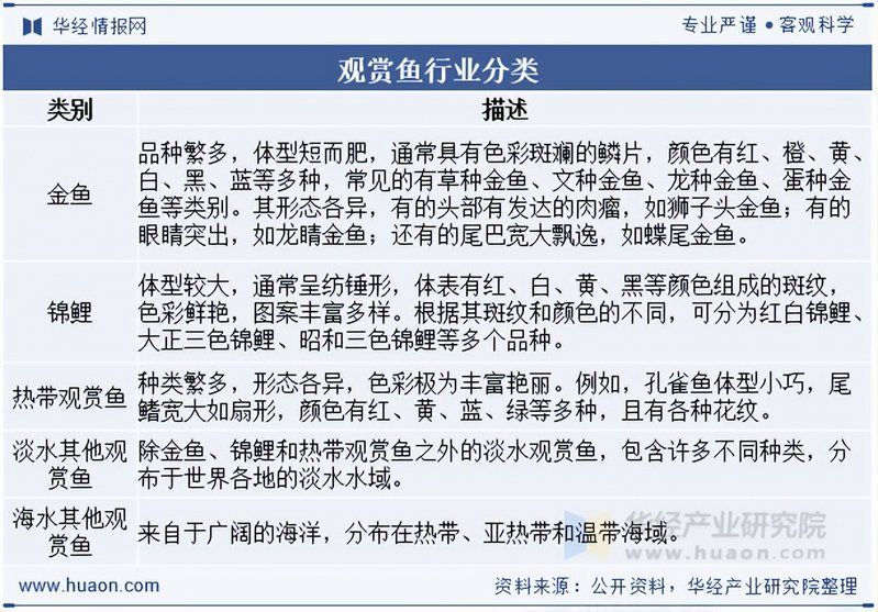 南開大學(xué)與龍魚產(chǎn)業(yè)有何關(guān)聯(lián)？，南開大學(xué)與龍魚產(chǎn)業(yè)之間的關(guān)聯(lián)主要體現(xiàn)在學(xué)術(shù)研究和人才培養(yǎng)方面