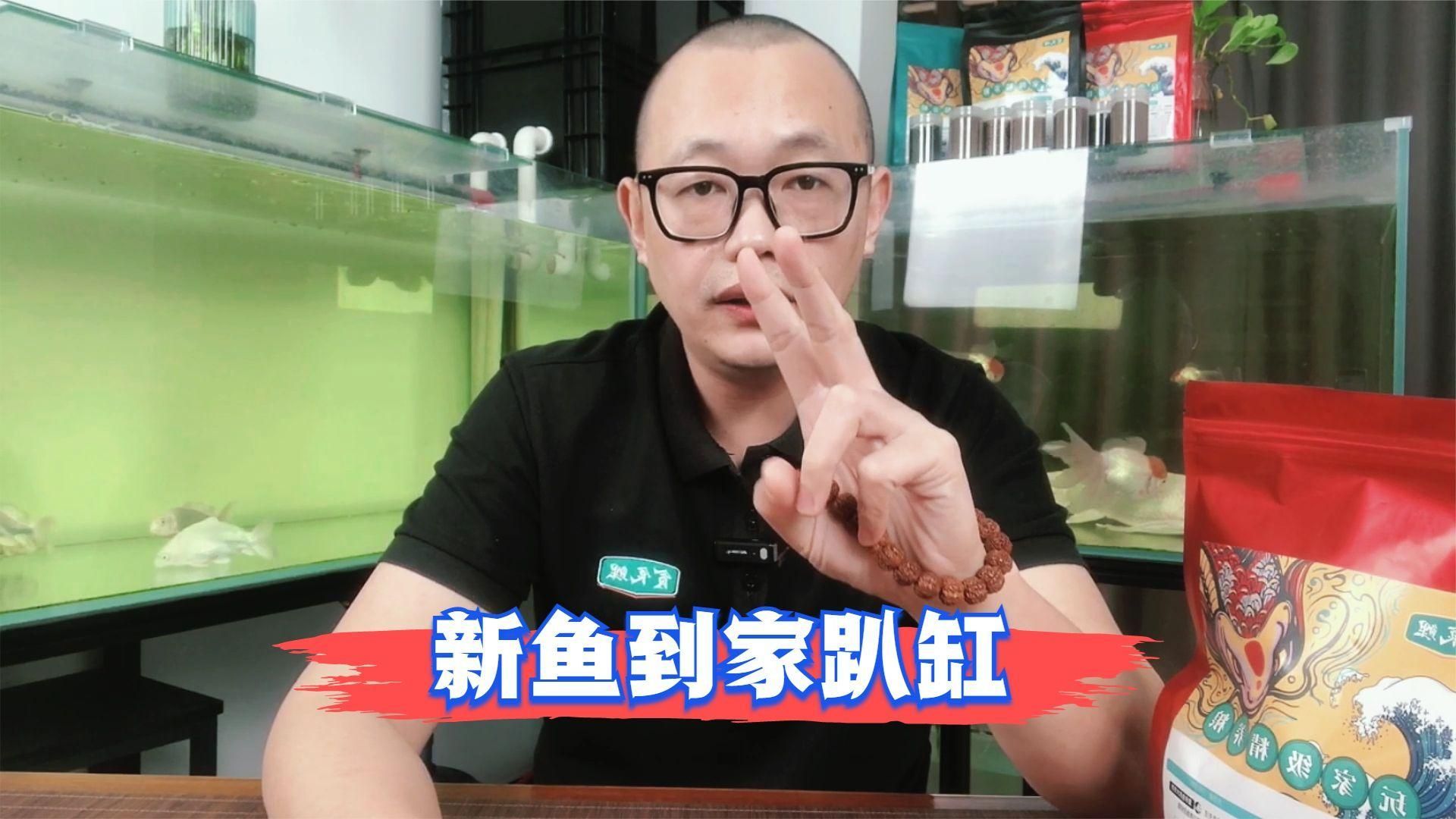 魚(yú)趴缸怎么補(bǔ)救，新魚(yú)到家趴缸什么原因引起魚(yú)趴缸怎么補(bǔ)救