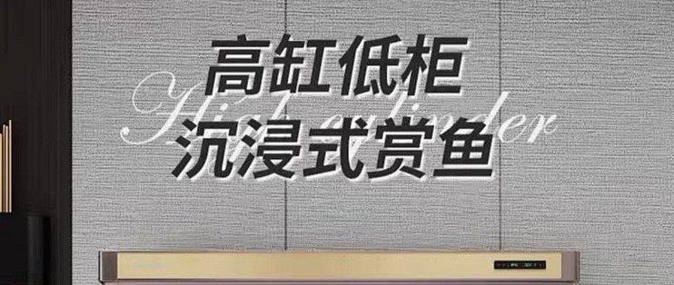 彩鰈和森森哪個更值得購買？，彩鰈和“森森”哪個更值得購買彩鰈