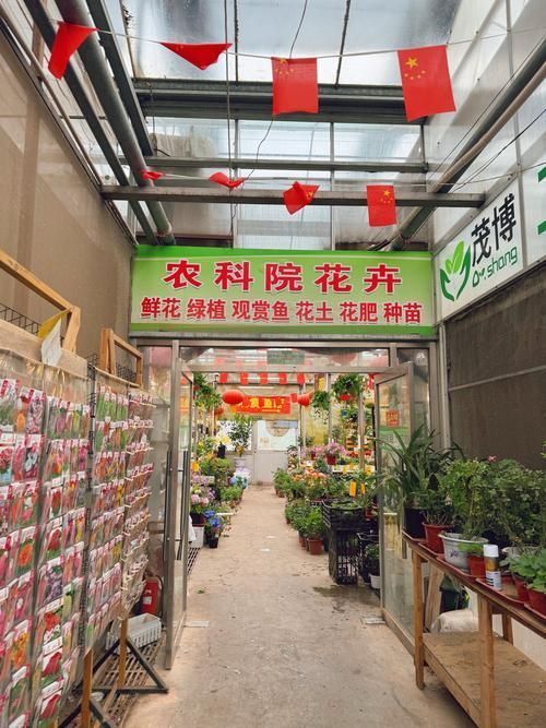北京紅龍魚市場的開放時間是？，北京紅龍魚市場開放時間