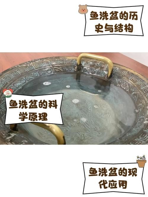 龍魚外寄治療期間需要注意什么，龍魚外寄治療期間需要注意什么思考完成調(diào)用工具百度健康-找醫(yī)生