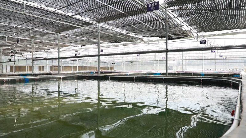 安龍縣水產養殖業未來發展規劃，安龍縣水產養殖業發展趨勢分析