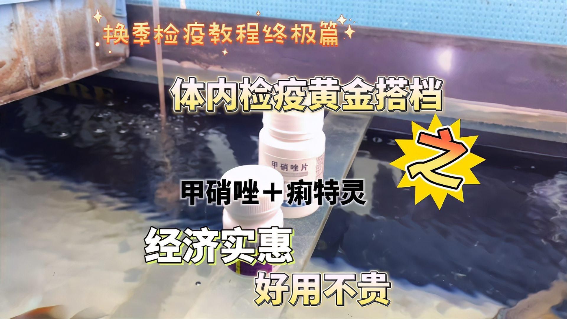 甲硝唑能直接扔魚缸嗎，甲硝唑可以直接扔入魚缸嗎