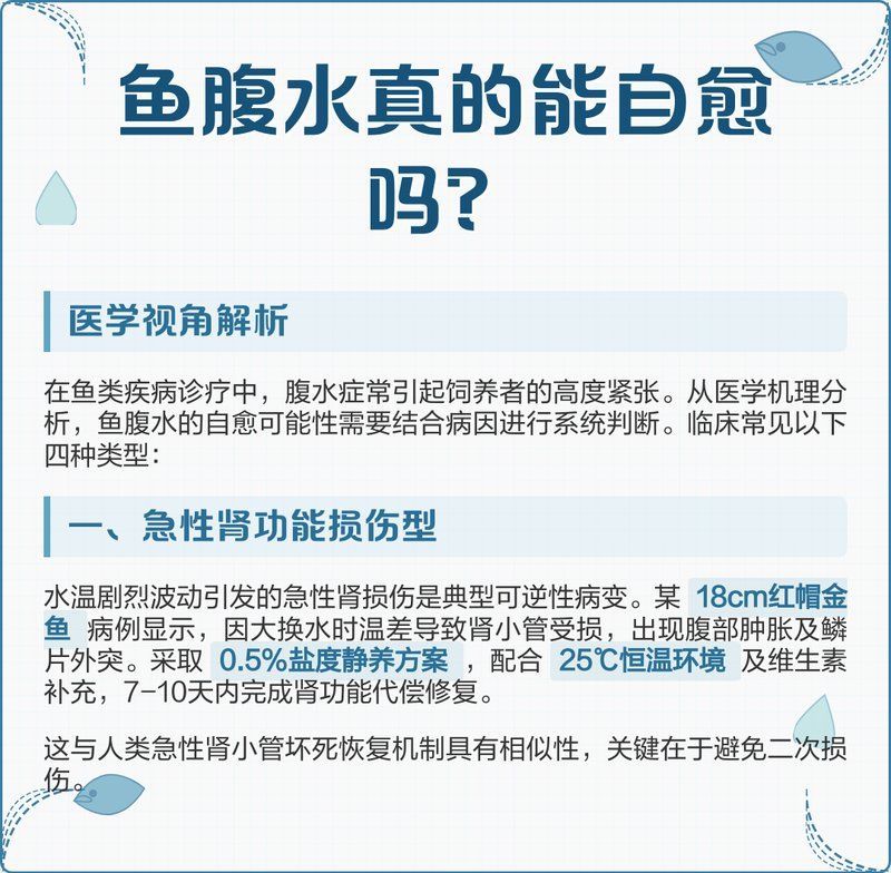 如何判斷魚腹水是否自愈，如何判斷魚腹水是否可以自愈