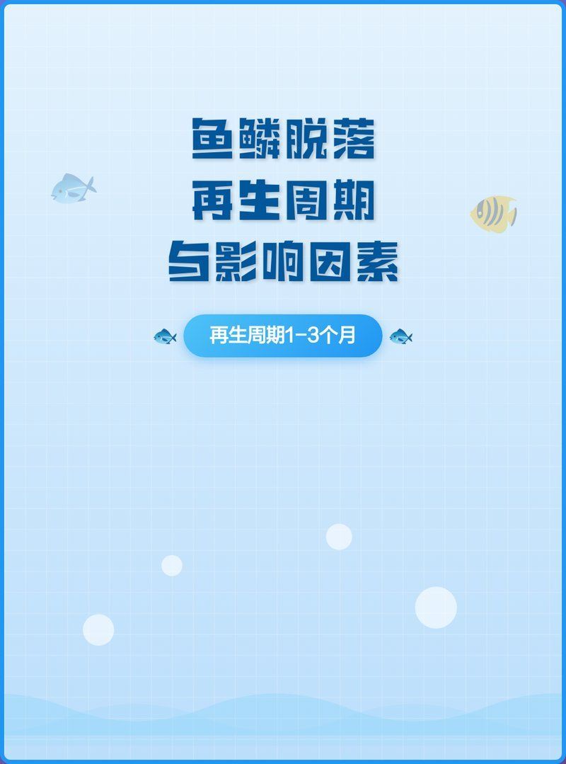 龍魚爛鱗拔除后多久能長出新鱗？，龍魚爛鱗拔除后多久能長出新鱗，龍魚爛鱗后多久開始喂食