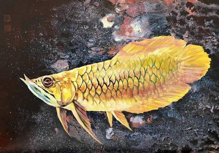 能否提供更多龍魚浮頭藝術(shù)作品，能否提供更多龍魚浮頭藝術(shù)作品,