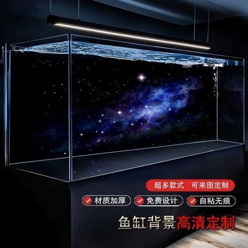 如何預防龍魚病？，龍魚疾病預防