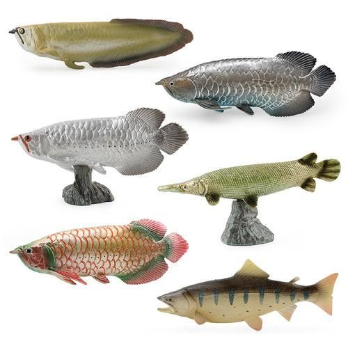 能否提供綦江龍魚的圖片，綦江龍魚有哪些獨特特征？