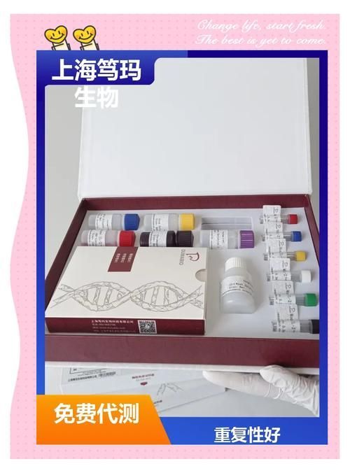 龍魚內臟外露如何治療，龍魚內臟外露如何治療龍魚內臟外露的治療方法包括1000字說明和配圖