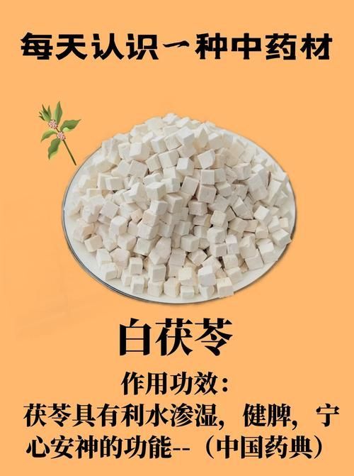有哪些中草藥可以預防腹水病,中草藥可以預防腹水預防腹水病共個工具
