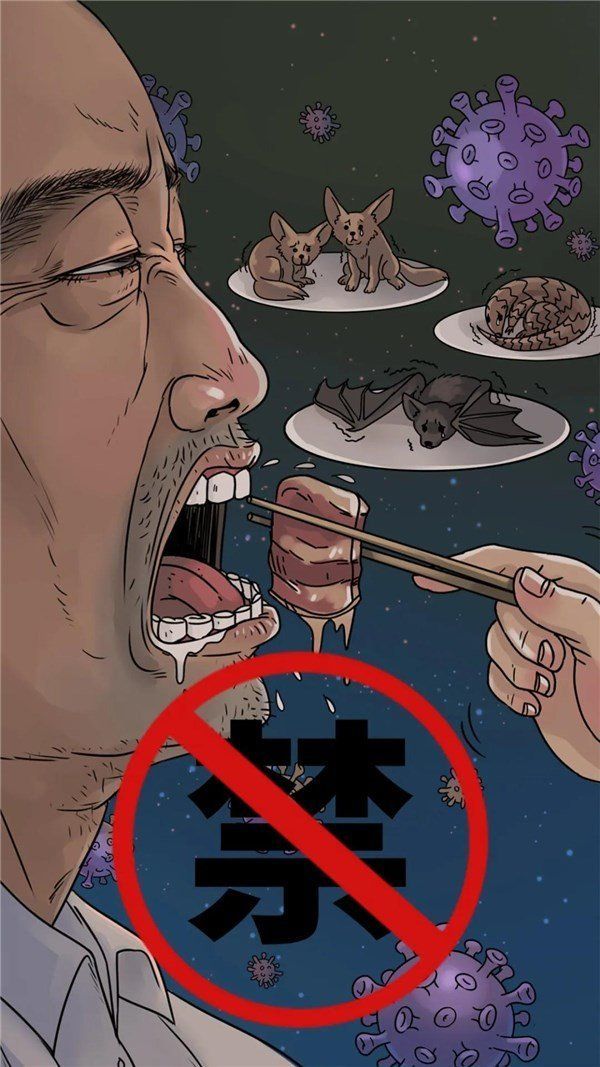 有哪些食物是龍魚炸鱗后可以安全食用的？，龍魚炸鱗可以安全食用嗎？