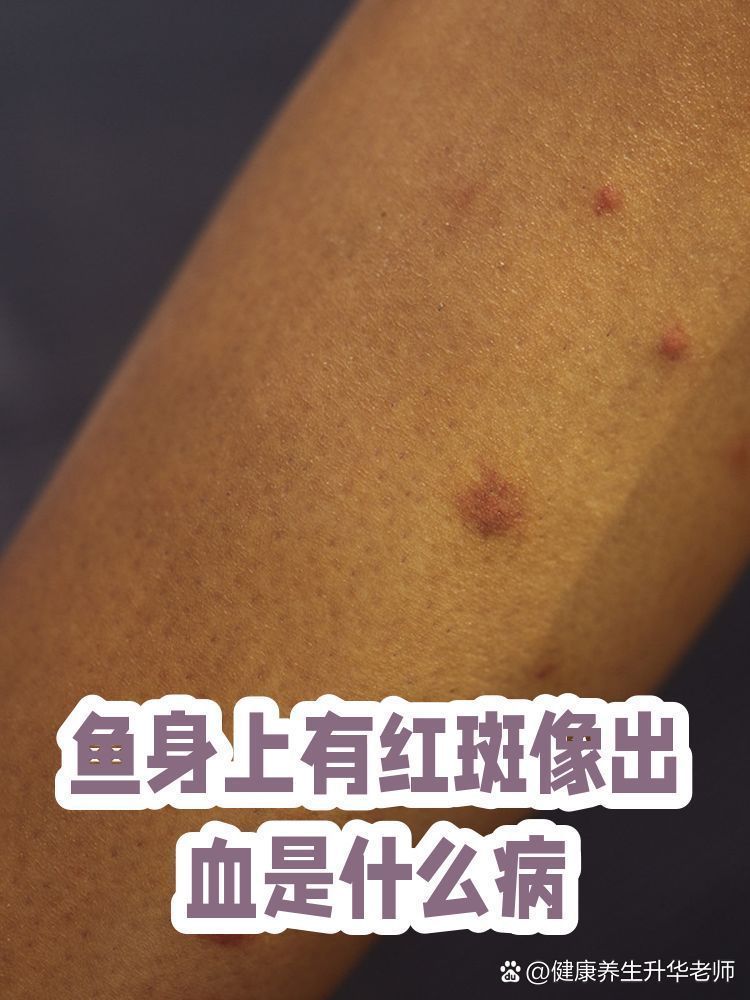 魚身上滲血會自愈嗎，如何判斷魚身上滲血是否會自愈？