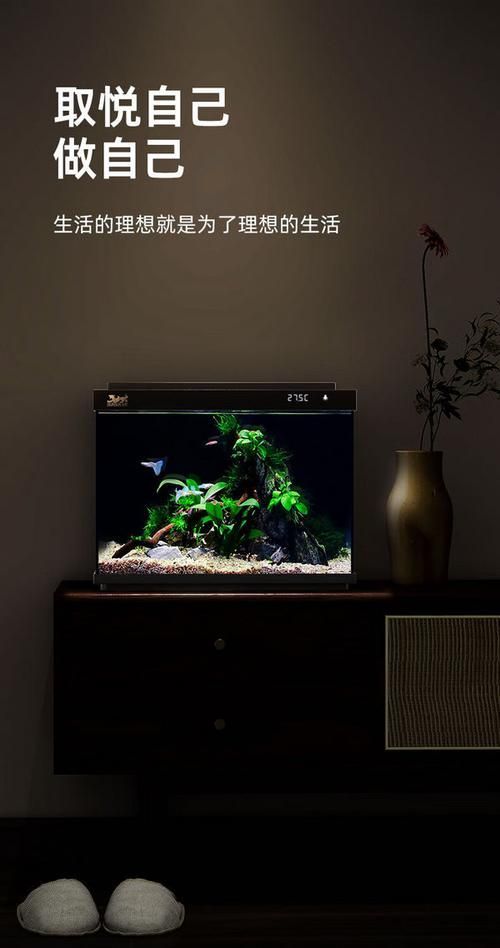 詳解血紅龍魚的飼養方法，血紅龍魚的飼養方法詳解