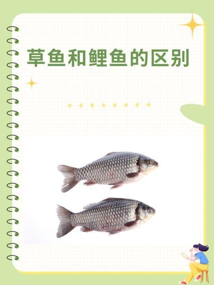 如何預防魚類腸炎，arxiv論文助手預防魚類腸炎思考完成arxiv論文助手