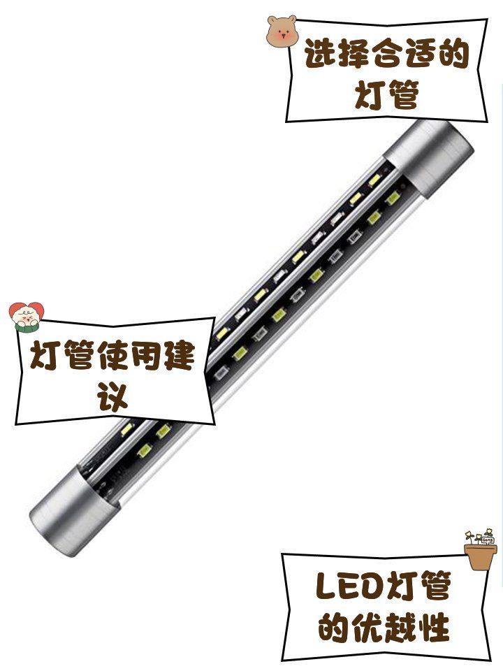 如何選擇適合龍魚(yú)的燈管？，養(yǎng)龍魚(yú)，燈光不是點(diǎn)綴，而是“發(fā)色引擎”,