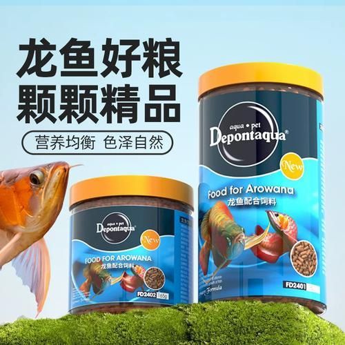 大禹德邦哪個型號的飼料最適合龍魚，大禹德邦龍魚飼料哪個型號的飼料最適合龍魚