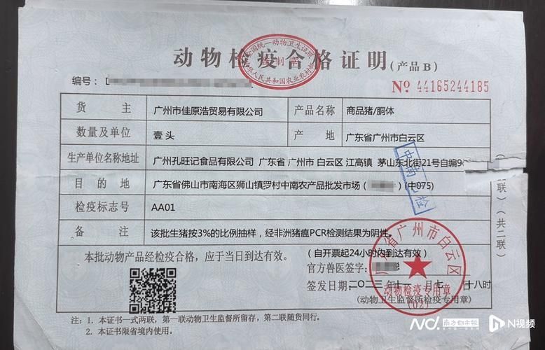 深圳龍魚市場的監(jiān)管情況