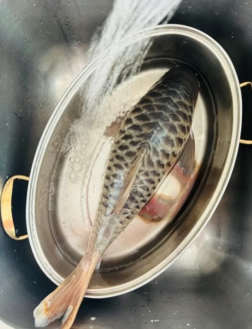祥龍魚場(chǎng)的忘不了魚有哪些品種，祥龍魚場(chǎng)的忘不了魚有哪些品種祥龍魚場(chǎng)并未養(yǎng)殖或銷售“忘不了魚”