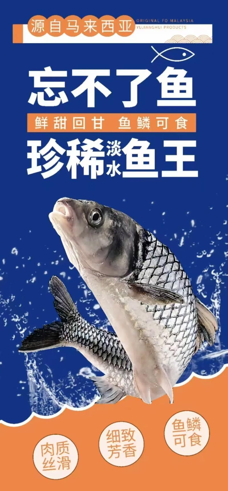 祥龍魚場(chǎng)的忘不了魚有哪些品種，祥龍魚場(chǎng)的忘不了魚有哪些品種祥龍魚場(chǎng)并未養(yǎng)殖或銷售“忘不了魚”