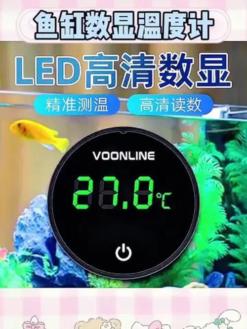 如何維持紅龍魚缸的溫度穩定，如何維持紅龍魚缸溫度穩定