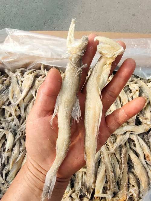 如何辨別龍頭魚掛件的材質，如何辨別龍頭魚掛件