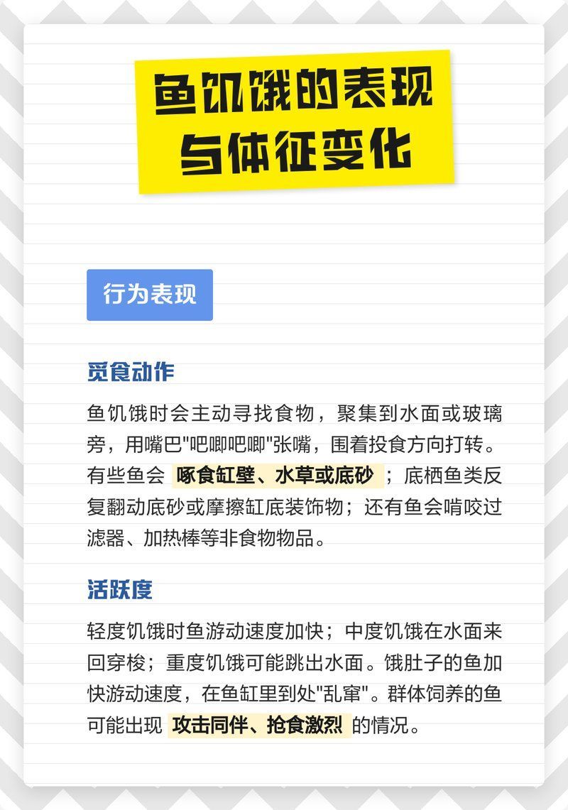 如何判斷風(fēng)水魚是否饑餓，判斷風(fēng)水魚是否饑餓的方法包括觀察其行為和外觀