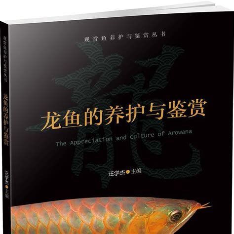 兩條龍魚怎么才能不打架，兩條龍魚怎么才能不打架，