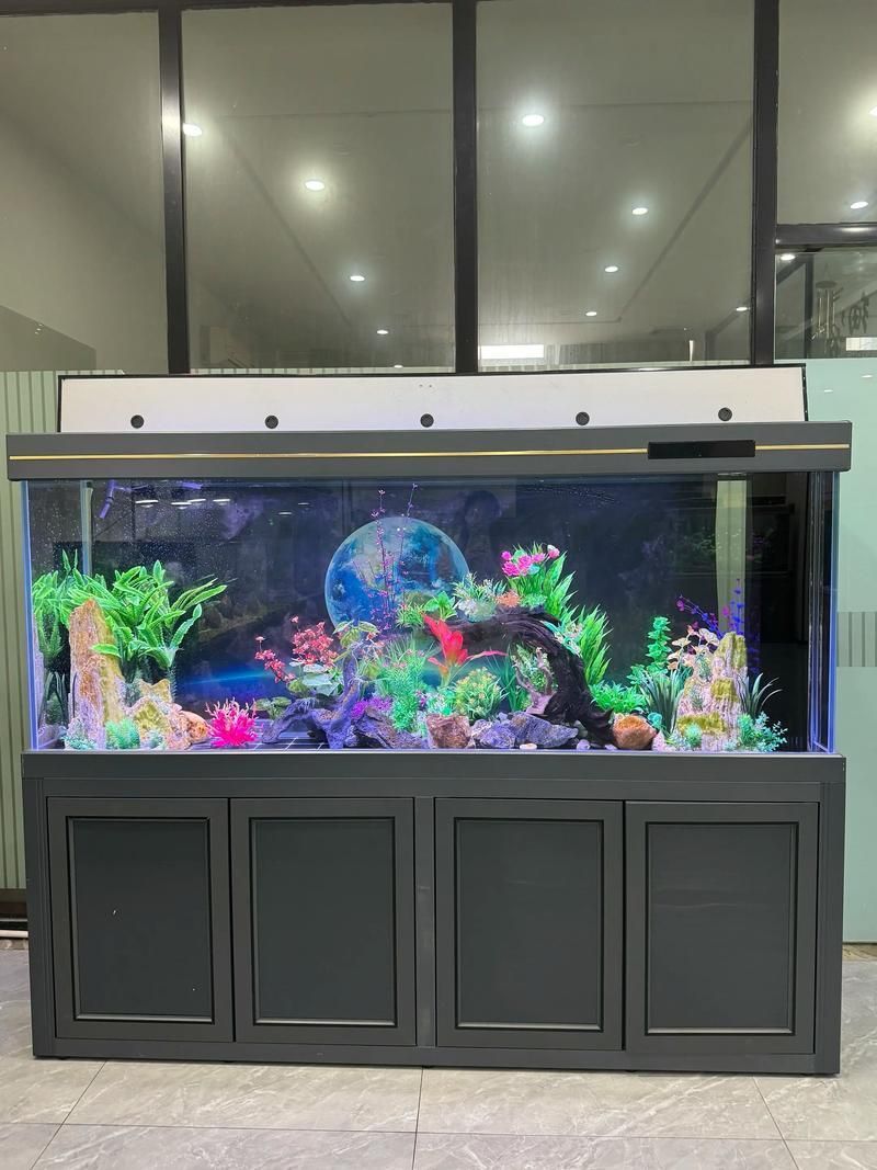 有沒有魚缸形狀的圖片示例，魚缸形狀的圖片示例：魚缸形狀的圖片示例