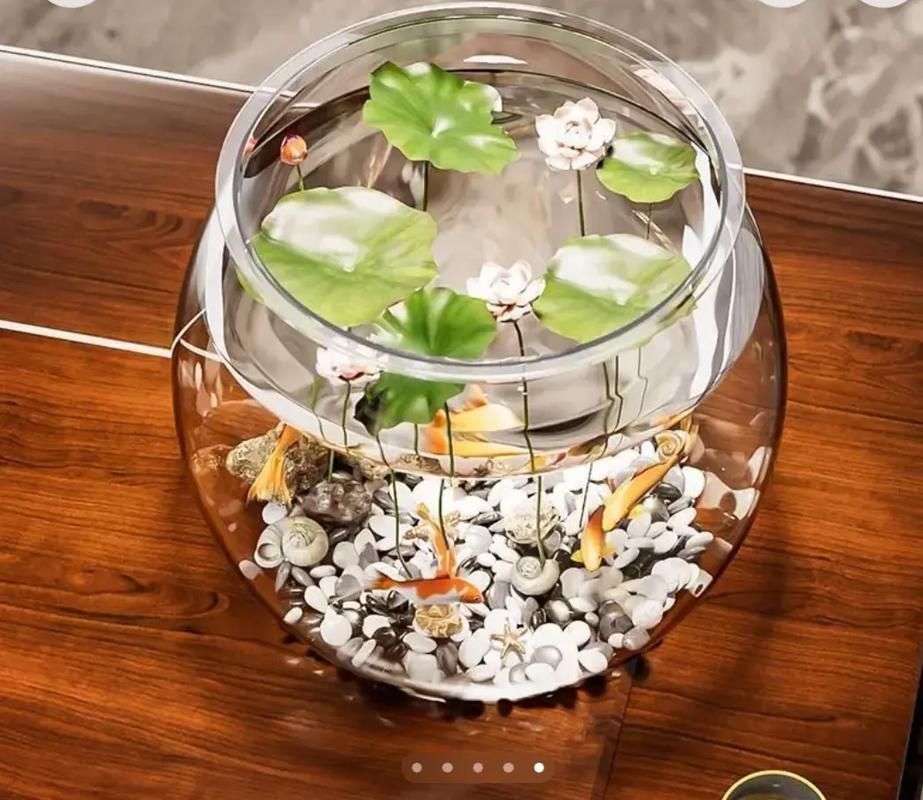 有沒有魚缸形狀的圖片示例，魚缸形狀的圖片示例：魚缸形狀的圖片示例