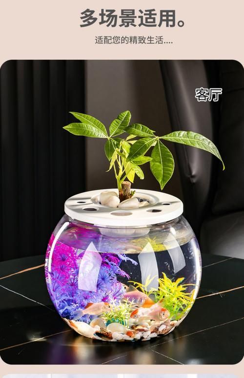有沒有魚缸形狀的圖片示例，魚缸形狀的圖片示例：魚缸形狀的圖片示例