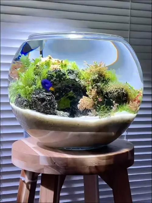 有沒有魚缸形狀的圖片示例，魚缸形狀的圖片示例：魚缸形狀的圖片示例