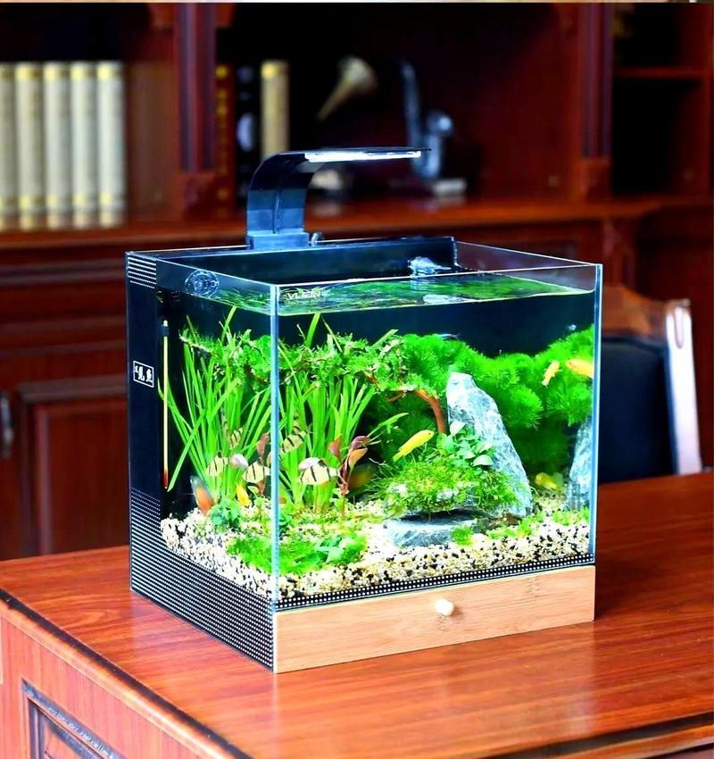有沒有魚缸形狀的圖片示例，魚缸形狀的圖片示例：魚缸形狀的圖片示例
