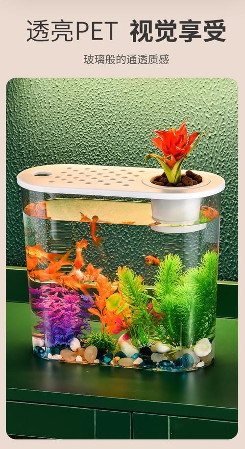 有沒有魚缸形狀的圖片示例，魚缸形狀的圖片示例：魚缸形狀的圖片示例