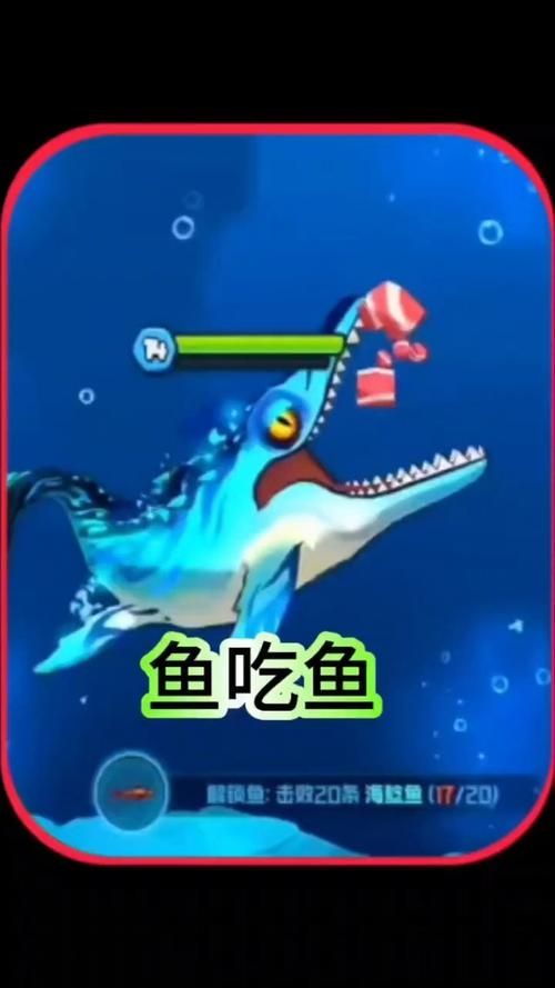 如何參與《魚吃魚》的蒼龍魚現實系列活動？