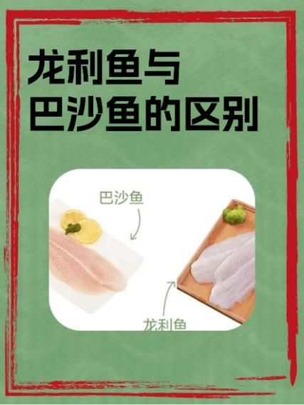 如何區分食用龍魚和觀賞龍魚？，如何區分龍魚和觀賞龍魚和觀賞龍魚和觀賞龍魚的區分指南