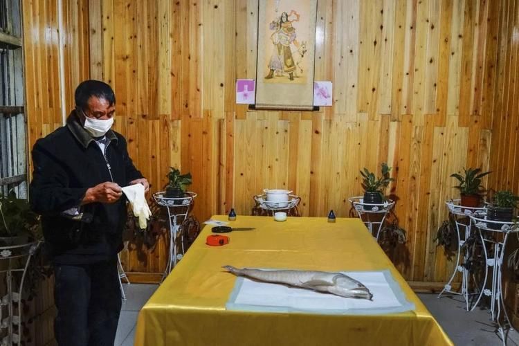 龍魚病死對主人好嗎有哪些具體案例,龍魚死亡對主人好嗎,龍魚病死對主人好嗎