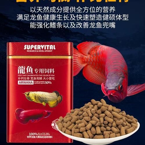 速倍妥龍魚飼料適合哪些龍魚