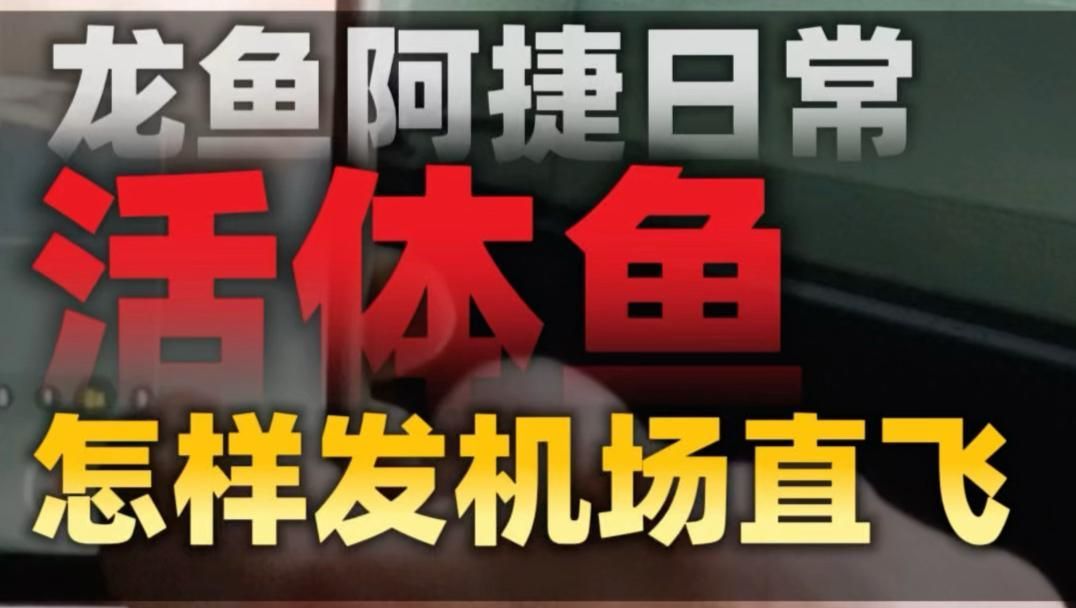 龍魚贈送時需要連缸送嗎，龍魚贈送時是否需要連缸送，龍魚贈送時需要連缸送嗎