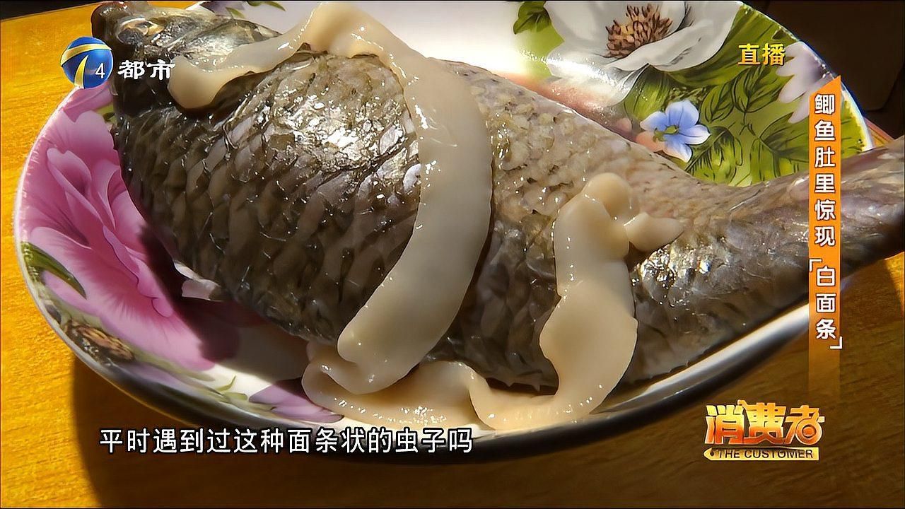 如何預防魚肚子里有白色細長蟲子，如何預防魚肚子里有白色細長蟲子家庭魚類處理安全checklist