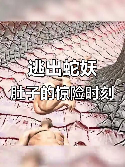 能否提供蛇王揉肚子的圖片或視頻