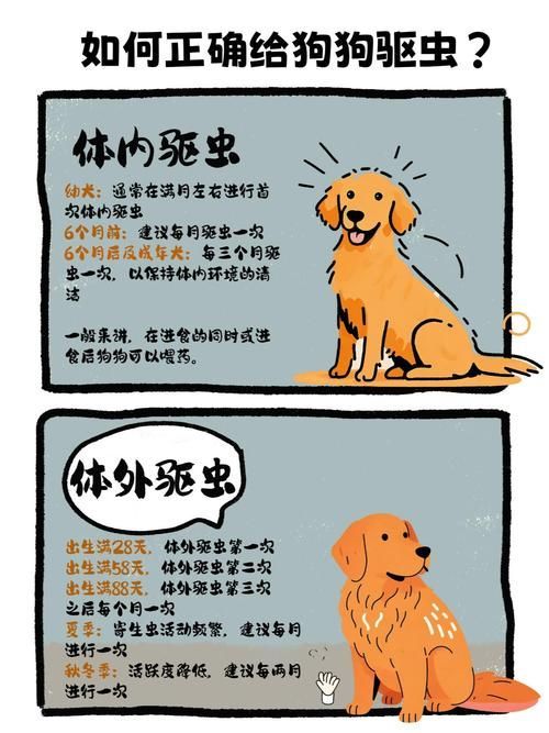 預防性驅蟲的具體步驟是什么,伊麗莎白圈預防性驅蟲是確保寵物健康的重要措施并有多重要