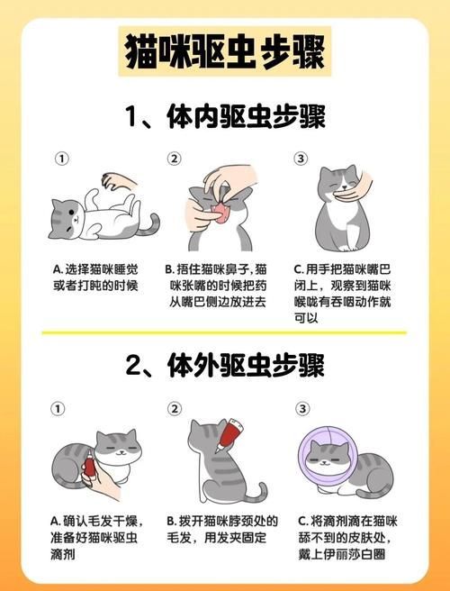 預防性驅蟲的具體步驟是什么,伊麗莎白圈預防性驅蟲是確保寵物健康的重要措施并有多重要