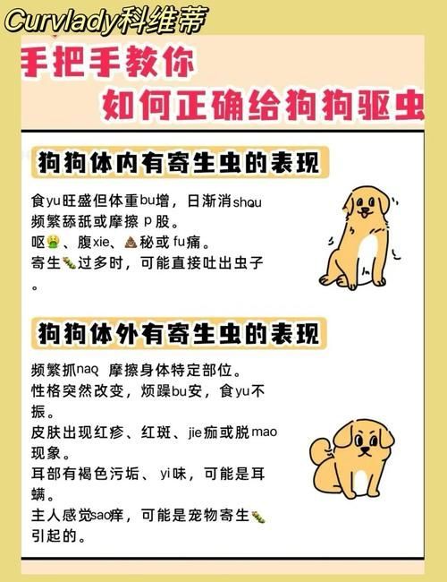 預防性驅蟲的具體步驟是什么,伊麗莎白圈預防性驅蟲是確保寵物健康的重要措施并有多重要