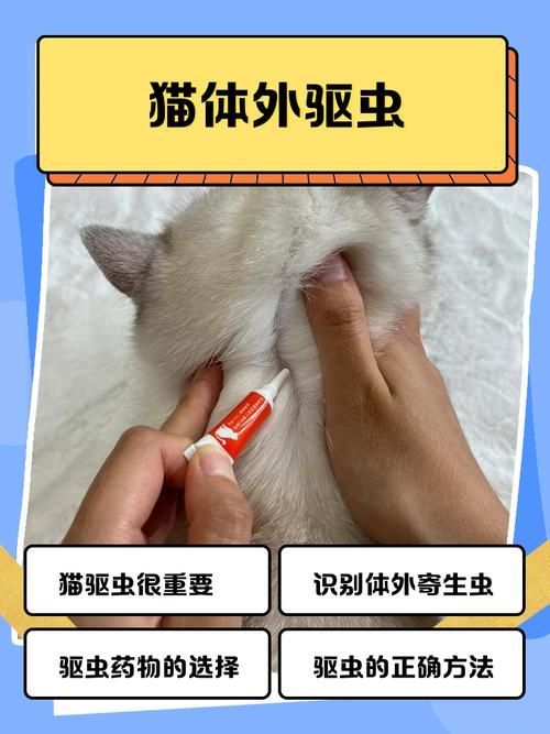 預防性驅蟲的具體步驟是什么,伊麗莎白圈預防性驅蟲是確保寵物健康的重要措施并有多重要