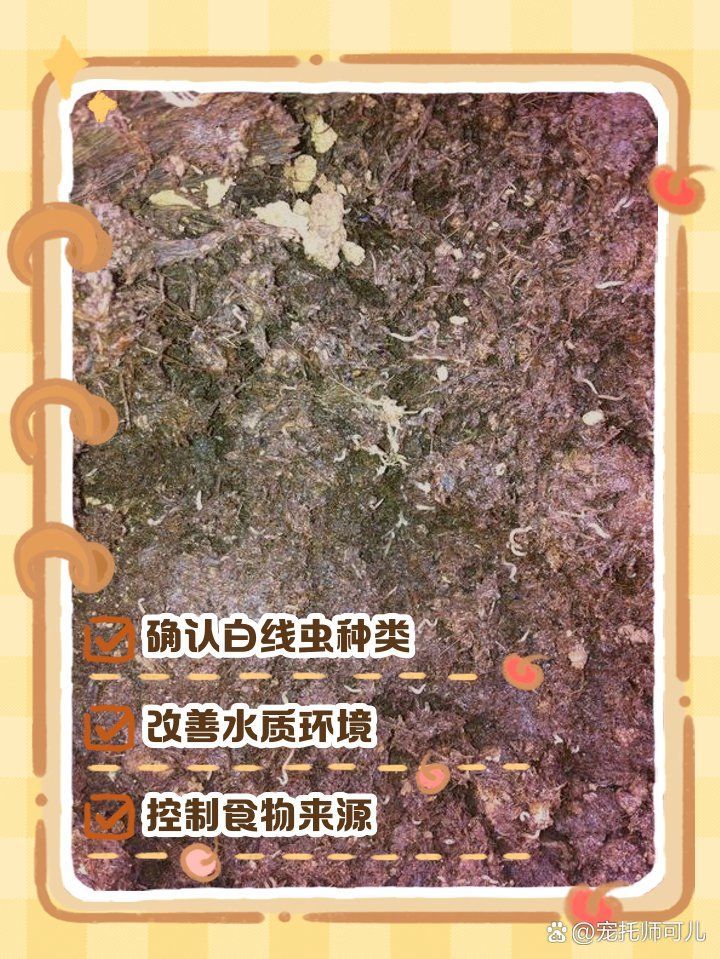 魚飼料起白色密密麻麻的蟲子，魚飼料中出現白色密密麻麻的蟲子可能是害蟲、寄生蟲或細菌
