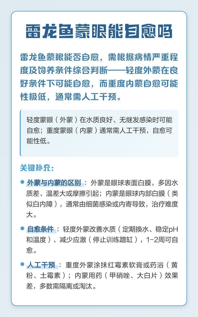雷龍魚蒙眼會自行恢復嗎，雷龍魚蒙眼會自愈嗎