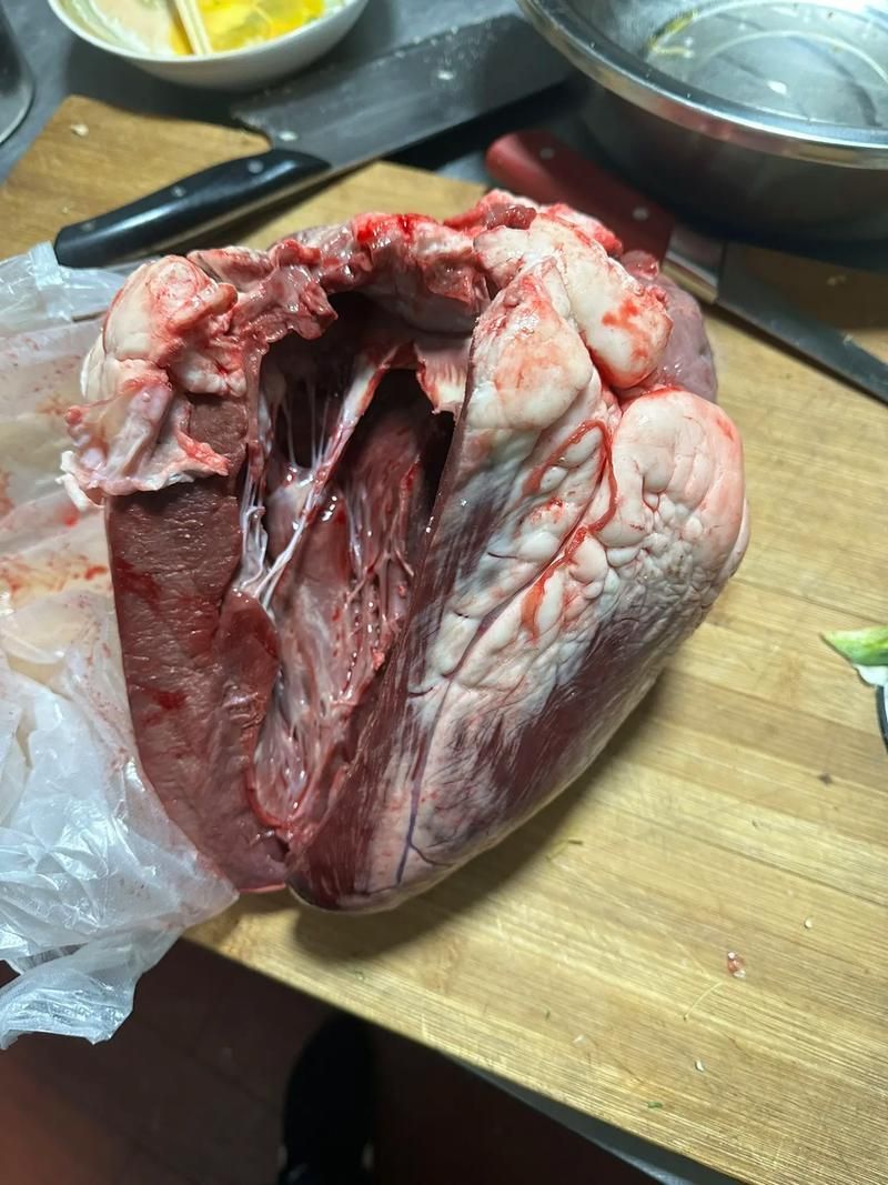 龍魚吃牛心后有哪些正常反應？，龍魚吃牛心后多久會排泄？