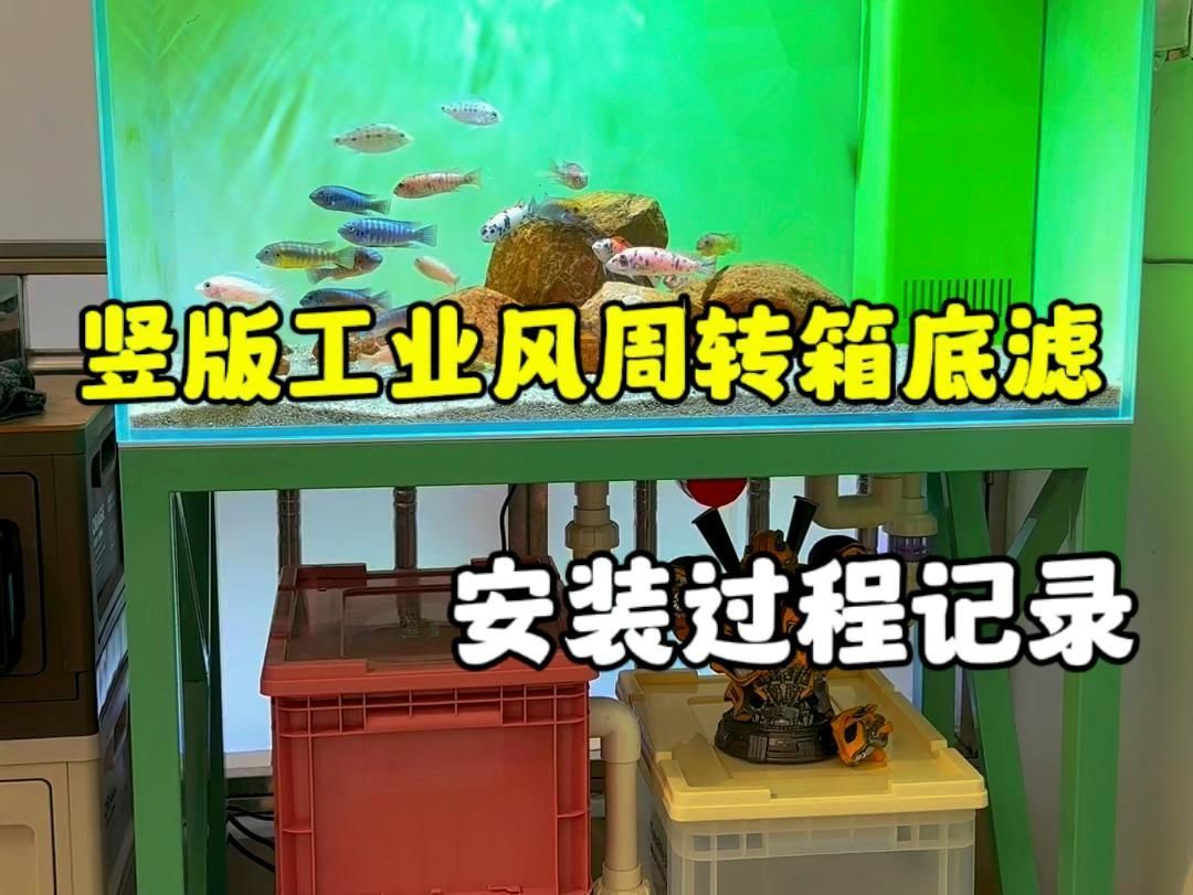 底濾系統如何安裝，底濾系統安裝步驟
