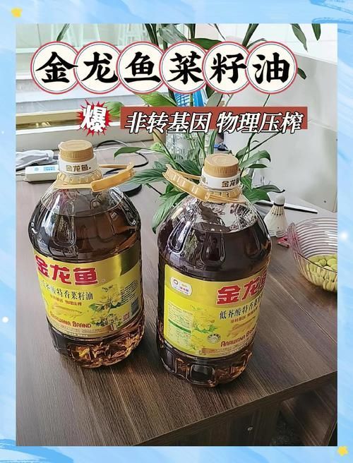 金禾金龍魚的價(jià)格是多少？，關(guān)于金禾金龍魚的價(jià)格問題