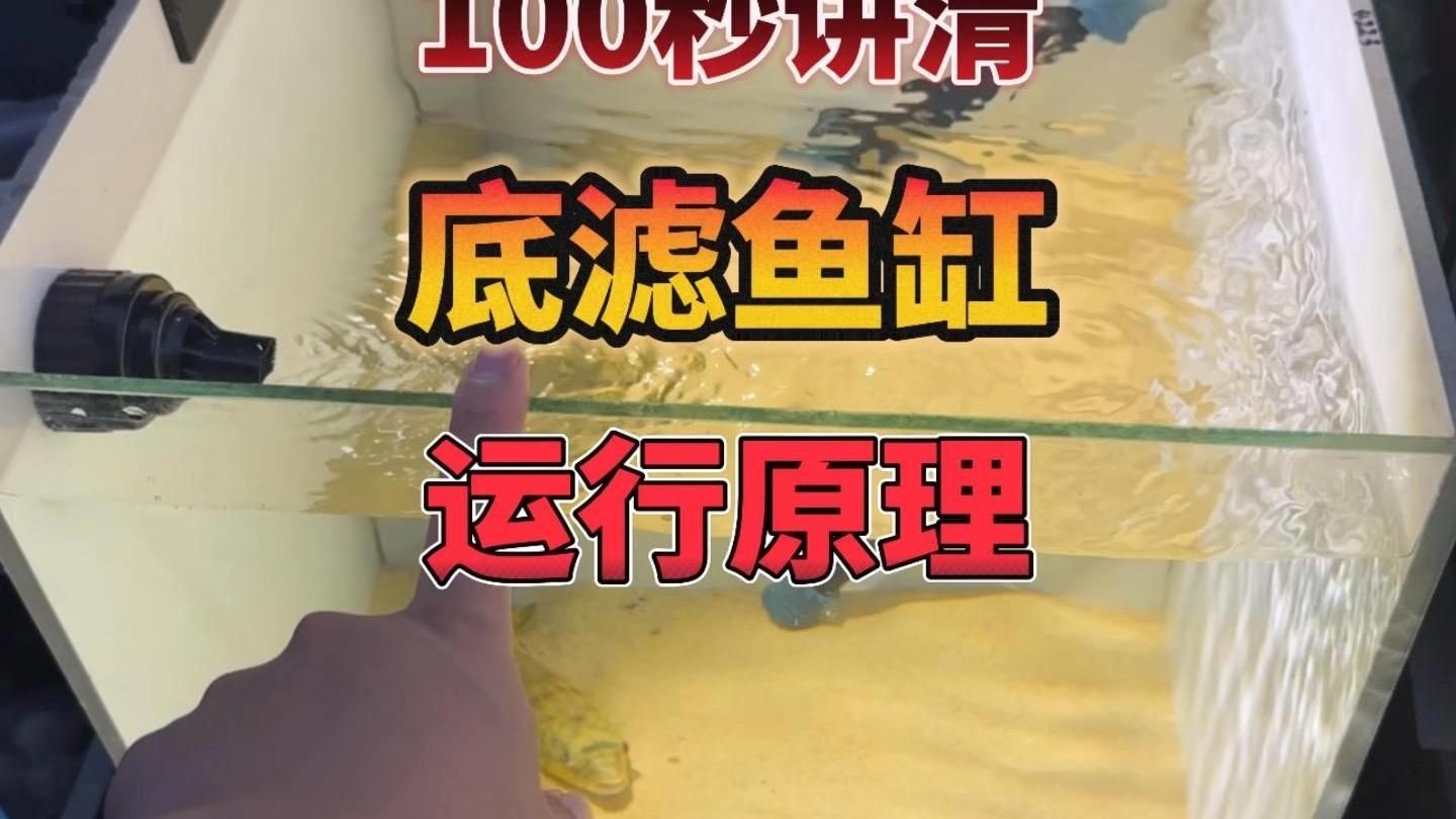 水族箱過濾系統有哪些類型，水族箱過濾系統